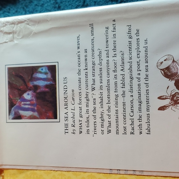 Best loved books for young readers - Picture 6 of 7